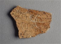 藏品(甲骨殘片)的圖片