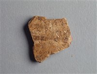 藏品(甲骨殘片)的圖片