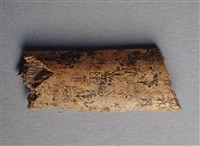 藏品(甲骨殘片)的圖片