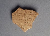 藏品(甲骨殘片)的圖片