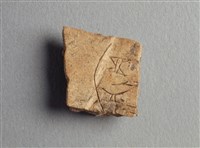 藏品(甲骨殘片)的圖片