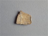 藏品(甲骨殘片)的圖片