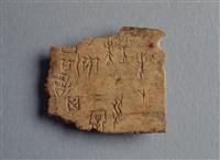 藏品(甲骨殘片)的圖片