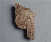 藏品(甲骨殘片)的圖片