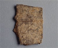 藏品(甲骨殘片)的圖片