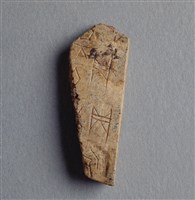 藏品(甲骨殘片)的圖片