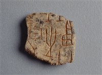 藏品(甲骨殘片)的圖片