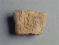 藏品(甲骨殘片)的圖片