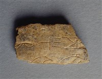 藏品(甲骨殘片)的圖片