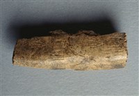 藏品(甲骨殘片)的圖片