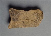 藏品(甲骨殘片)的圖片