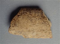 藏品(甲骨殘片)的圖片