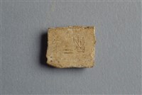 藏品(甲骨殘片)的圖片