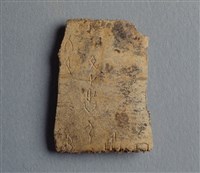 藏品(甲骨殘片)的圖片