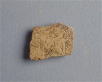 藏品(甲骨殘片)的圖片