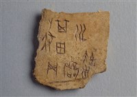 藏品(甲骨殘片)的圖片