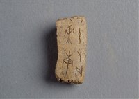 藏品(甲骨殘片)的圖片