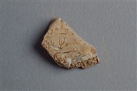 藏品(甲骨殘片)的圖片
