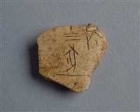 藏品(甲骨殘片)的圖片