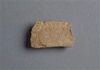 藏品(甲骨殘片)的圖片