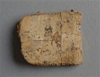 藏品(甲骨殘片)的圖片