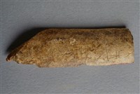 藏品(甲骨殘片)的圖片