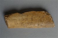 藏品(甲骨殘片)的圖片