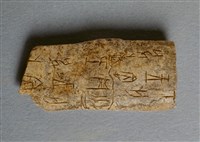 藏品(甲骨殘片)的圖片