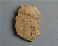 藏品(甲骨殘片)的圖片