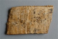 藏品(甲骨殘片)的圖片