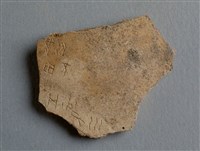 藏品(甲骨殘片)的圖片