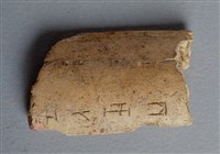 藏品(甲骨殘片)的圖片