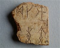 藏品(甲骨殘片)的圖片