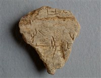 藏品(甲骨殘片)的圖片