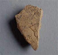 藏品(甲骨殘片)的圖片