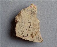 藏品(甲骨殘片)的圖片