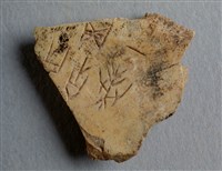 藏品(甲骨殘片)的圖片