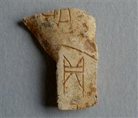 藏品(甲骨殘片)的圖片