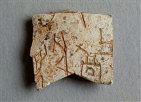 藏品(甲骨殘片)的圖片