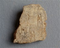 藏品(甲骨殘片)的圖片