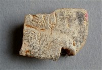 藏品(甲骨殘片)的圖片