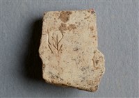 藏品(甲骨殘片)的圖片