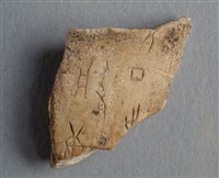 藏品(甲骨殘片)的圖片