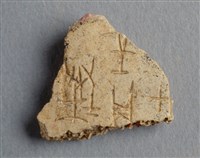 藏品(甲骨殘片)的圖片