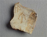 藏品(甲骨殘片)的圖片