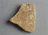 藏品(甲骨殘片)的圖片