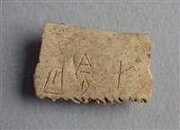 藏品(甲骨殘片)的圖片