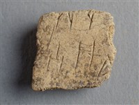 藏品(甲骨殘片)的圖片