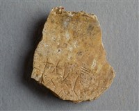 藏品(甲骨殘片)的圖片