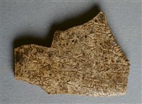 藏品(甲骨殘片)的圖片